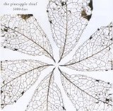 The Pineapple Thief - 3000 Days (Disc 2)