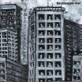 The Pineapple Thief - 12 Stories Down