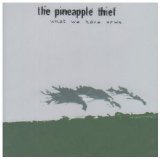 The Pineapple Thief - What We Have Sown