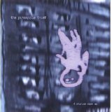 The Pineapple Thief - 4 Stories Down