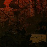 Shugo Tokumaru - Night Piece