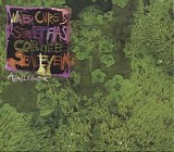 Animal Collective - Water Curses
