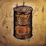Toad The Wet Sprocket - In Light Syrup