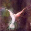 Emerson, Lake & Palmer - Emerson, Lake & Palmer