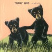 Tricky Woo - The Enemy Is Real