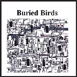 Buried Birds - The Empty Lake of Sanity