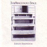 Subarachnoid Space - Endless Renovation