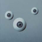 Darwin - In The Eye Of The Beholder
