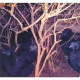 Merzbow - Animal Magnetism