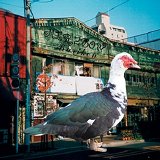 Merzbow - Bariken