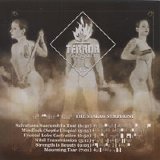 Terror Organ - The Stalag Symphony