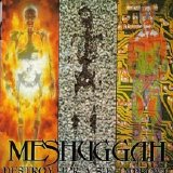 Meshuggah - Destroy Erase Improve (Reloaded Edition)