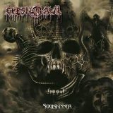 Fleshcrawl - Soulskinner