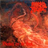 Morbid Angel - Blessed Are The Sick