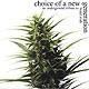 Various artists - Brutal Truth: Choice Of A New Generation