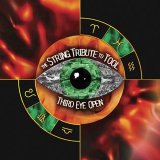 The String Quartet - Tribute To Tool: Third Eye Open