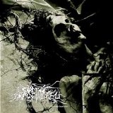 Circle Of Dead Children - Human Harvest