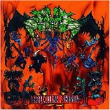 DVC - Molecular Shadow
