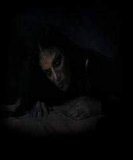 Diamanda Galas - Will & Defixiones (Live Ghent)