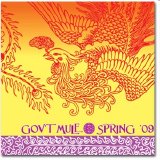 Gov't Mule - Spring '08 | Mountain Jam | Hunter, NY on May 31st 2008