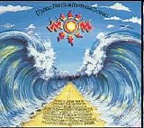 Various artists - Music For Our Mother Ocean - (MOM)