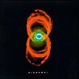 Pearl Jam - Binaural