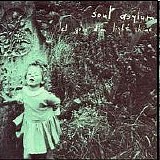 Soul Asylum - Let Your Dim Light Shine