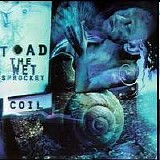 Toad the Wet Sprocket - Coil