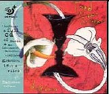 Toad the Wet Sprocket - Dulcinea