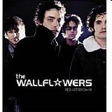 The Wallflowers - Red Letter Days