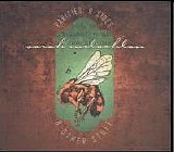 McLachlan, Sarah - Rarities, B-Sides, And Other Stuff