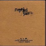 Pearl Jam - Cardiff Wales (6-6-00)