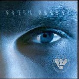 Brooks, Garth - Fresh Horses (The Limited Series)