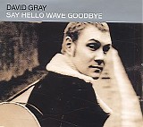 David Gray - Say Hello Wave Goodbye
