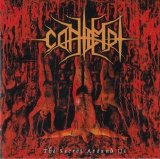 Contempt - The Secret Around Us (SK 2002)