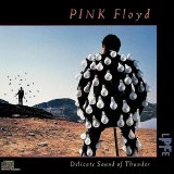 Pink Floyd - Delicate Sound Of Thunder Cd2