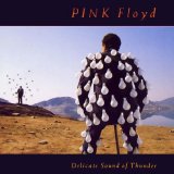 Pink Floyd - Delicate Sound of Thunder Cd1