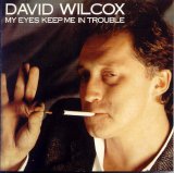 David Wilcox - My Eyes Keep Me In Trouble