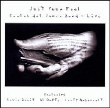 Carlos Del Junco - Just Your Fool