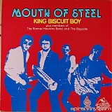 King Biscuit Boy - Mouth Of Steel