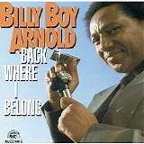 Billy Boy Arnold - Back Where I Belong
