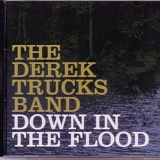 Derek Trucks Band - Down In The Flood