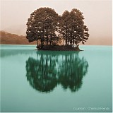 Nyles Lannon - Chemical Friends