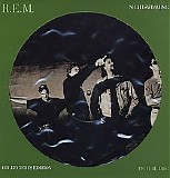 R.E.M. - Nightswimming (12" Vinyl Picture Disc)