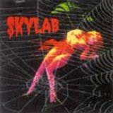 Rogério Skylab - Skylab I