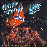 Lynyrd Skynyrd - Southern By The Grace Of God UICY-90407