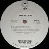 Ted Nugent - Ted Nugent  [VINYL] (US White Label Promo LP)