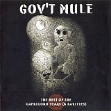 Gov't Mule - The Best Of Capricorn Years And Rarities