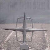 Neil Young - Chrome Dreams II