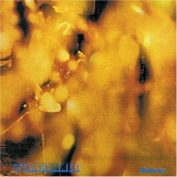 Steamhammer - Reflection